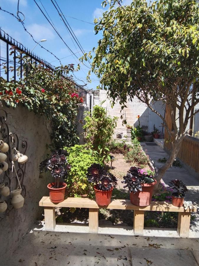 لا سيرينا Casa Serena 513 المظهر الخارجي الصورة